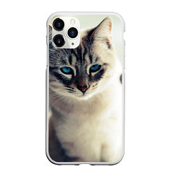 Чехол iPhone 11 Pro матовый Кот с Голубыми глазами, цвет: 3D-белый