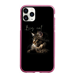 Чехол iPhone 11 Pro матовый Big cat Maine Coon, цвет: 3D-малиновый