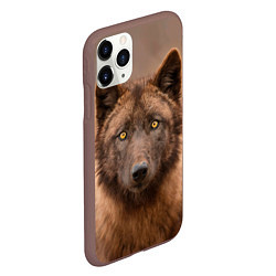 Чехол iPhone 11 Pro матовый Молодой волк, цвет: 3D-коричневый — фото 2