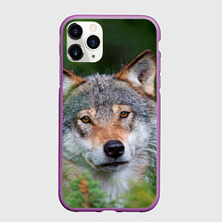 Чехол iPhone 11 Pro матовый Волк на фоне зелени, цвет: 3D-фиолетовый
