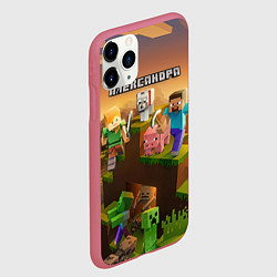 Чехол iPhone 11 Pro матовый Александра Minecraft, цвет: 3D-малиновый — фото 2