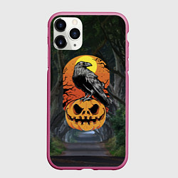 Чехол iPhone 11 Pro матовый Ворон, сидящий на тыкве - Halloween, цвет: 3D-малиновый