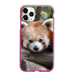 Чехол iPhone 11 Pro матовый Красная панда, цвет: 3D-малиновый