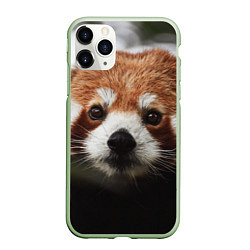Чехол iPhone 11 Pro матовый Малая панда, цвет: 3D-салатовый