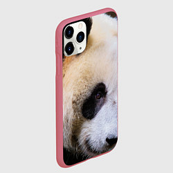 Чехол iPhone 11 Pro матовый Загадочная панда, цвет: 3D-малиновый — фото 2