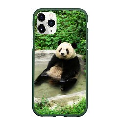 Чехол iPhone 11 Pro матовый Панда отдыхает в ванной, цвет: 3D-темно-зеленый