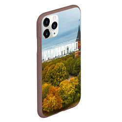 Чехол iPhone 11 Pro матовый Калининград янтарная столица, цвет: 3D-коричневый — фото 2
