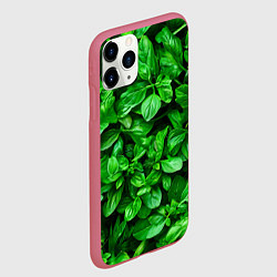 Чехол iPhone 11 Pro матовый Базилик зеленый, цвет: 3D-малиновый — фото 2