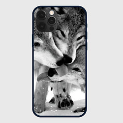 Чехол для iPhone 12 Pro Max Волчья семья, цвет: 3D-черный