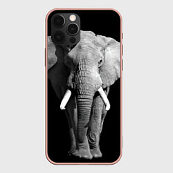 Чехол для iPhone 12 Pro Max Старый слон, цвет: 3D-светло-розовый