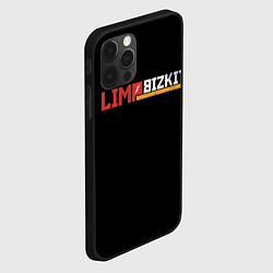Чехол для iPhone 12 Pro Max Limp Bizkit, цвет: 3D-черный — фото 2