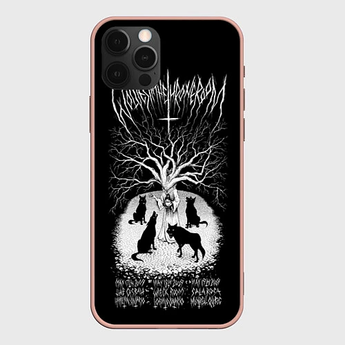Чехол iPhone 12 Pro Max Wolves in the Throne Room / 3D-Светло-розовый – фото 1