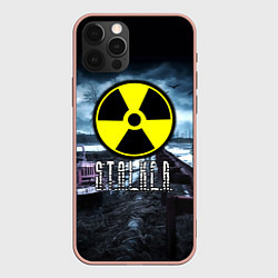 Чехол для iPhone 12 Pro Max S.T.A.L.K.E.R: Radiation, цвет: 3D-светло-розовый