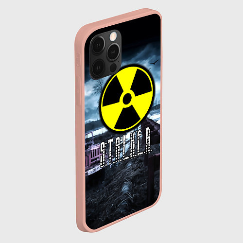 Чехол iPhone 12 Pro Max S.T.A.L.K.E.R: Radiation / 3D-Светло-розовый – фото 2