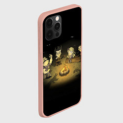 Чехол для iPhone 12 Pro Max Don’t Starve campfire, цвет: 3D-светло-розовый — фото 2