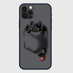 Чехол для iPhone 12 Pro Max Фурия в кармане, цвет: 3D-черный