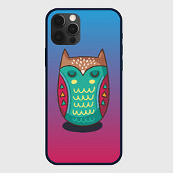 Чехол для iPhone 12 Pro Max Мудрая сова, цвет: 3D-черный