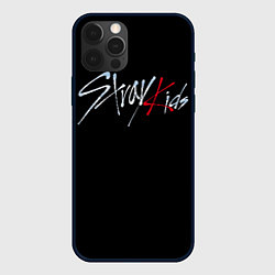 Чехол для iPhone 12 Pro Max Stray Kids, цвет: 3D-черный