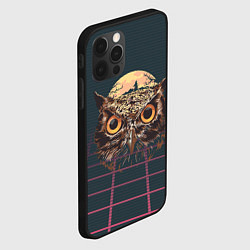 Чехол для iPhone 12 Pro Max Мудрая сова ретро, цвет: 3D-черный — фото 2
