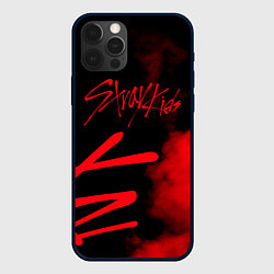 Чехол для iPhone 12 Pro Max Stray Kids, цвет: 3D-черный