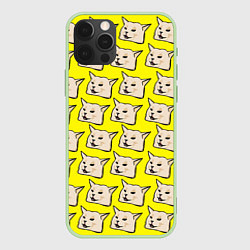 Чехол для iPhone 12 Pro Max Woman yelling at cat, цвет: 3D-салатовый