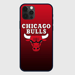 Чехол для iPhone 12 Pro Max CHICAGO BULLS, цвет: 3D-черный