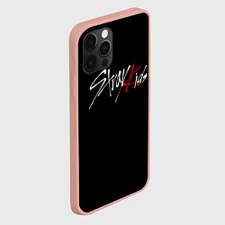 Чехол для iPhone 12 Pro Max STRAY KIDS, цвет: 3D-светло-розовый — фото 2