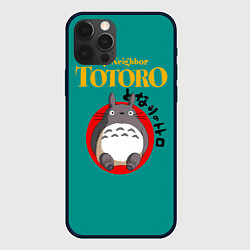 Чехол для iPhone 12 Pro Max Totoro, цвет: 3D-черный