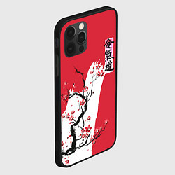 Чехол для iPhone 12 Pro Max Сакура Айкидо, цвет: 3D-черный — фото 2