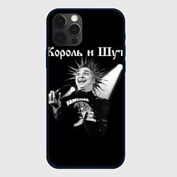Чехол для iPhone 12 Pro Max Король и Шут Анархия спина, цвет: 3D-черный