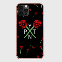 Чехол iPhone 12 Pro Max Payton Moormeier