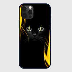 Чехол для iPhone 12 Pro Max Грозовой кошак, цвет: 3D-черный