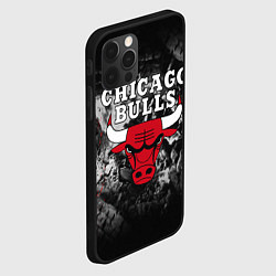 Чехол для iPhone 12 Pro Max CHICAGO BULLS, цвет: 3D-черный — фото 2