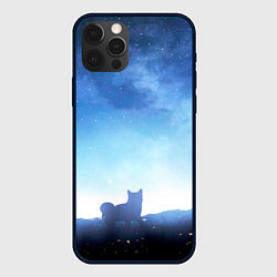 Чехол для iPhone 12 Pro Max Силуэт корги ночь космос дымка, цвет: 3D-черный
