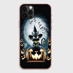Чехол для iPhone 12 Pro Max Хэллоуин Кот, цвет: 3D-светло-розовый