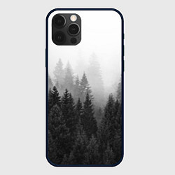 Чехол для iPhone 12 Pro Max Туманный лес, цвет: 3D-черный