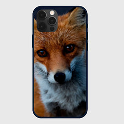Чехол для iPhone 12 Pro Max Мудрая лиса, цвет: 3D-черный