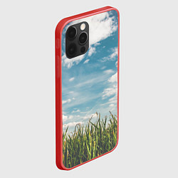 Чехол для iPhone 12 Pro Max Небушко и полюшко, цвет: 3D-красный — фото 2