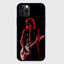 Чехол для iPhone 12 Pro Max Тейлор на концерте, цвет: 3D-черный