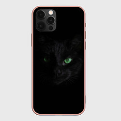 Чехол для iPhone 12 Pro Max Хочу быть кошкой, цвет: 3D-светло-розовый