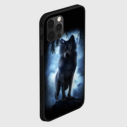 Чехол для iPhone 12 Pro Max ВОЛК БРОДЯГА, цвет: 3D-черный — фото 2