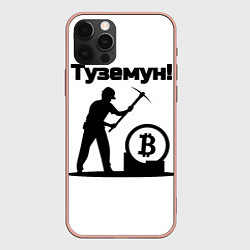 Чехол для iPhone 12 Pro Max Туземун-криптовалюты, цвет: 3D-светло-розовый