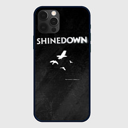 Чехол для iPhone 12 Pro Max The Sound of Madness Shinedown, цвет: 3D-черный