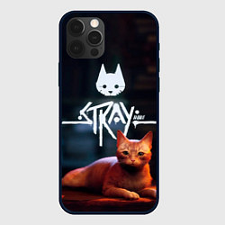 Чехол для iPhone 12 Pro Max Stray: Бродячий кот, цвет: 3D-черный