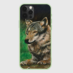 Чехол для iPhone 12 Pro Max Спокойный серый волк, цвет: 3D-салатовый