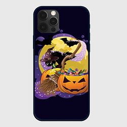 Чехол для iPhone 12 Pro Max Чёрный котёнок и тыквы, цвет: 3D-черный