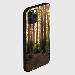 Чехол для iPhone 12 Pro Max Дневной лес, деревья и свет, цвет: 3D-черный — фото 2
