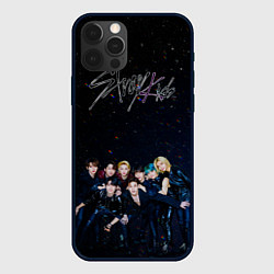 Чехол для iPhone 12 Pro Max Stray Kids boy band, цвет: 3D-черный