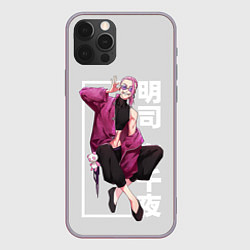 Чехол для iPhone 12 Pro Max Akashi Haruchiyo TR, цвет: 3D-серый