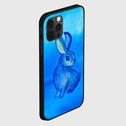 Чехол для iPhone 12 Pro Max Водяной кролик символ 2023, цвет: 3D-черный — фото 2